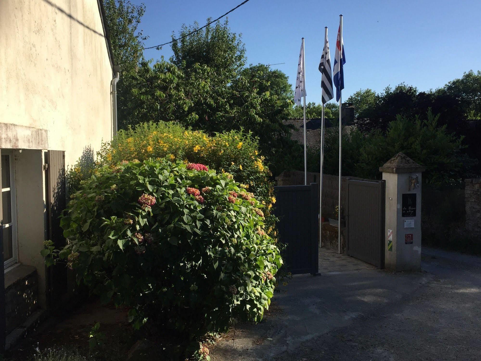 Les Dames De Nage Bed & Breakfast Grand-Champ Bagian luar foto