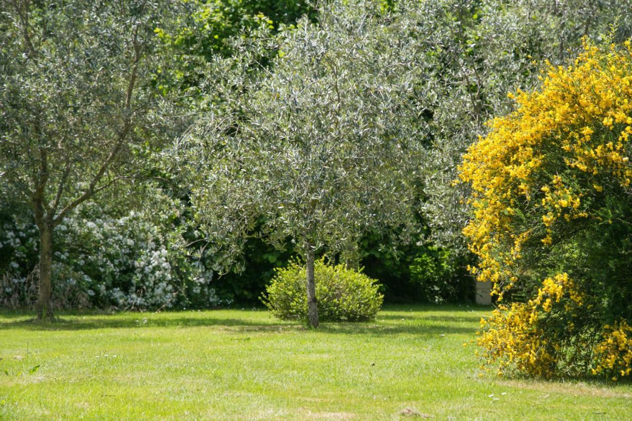 Les Dames De Nage Bed & Breakfast Grand-Champ Bagian luar foto