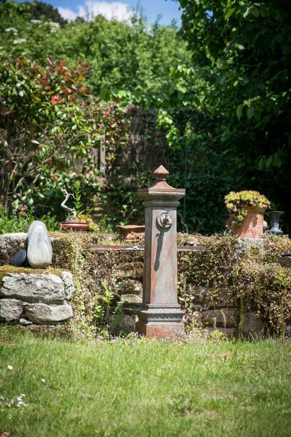 Les Dames De Nage Bed & Breakfast Grand-Champ Bagian luar foto